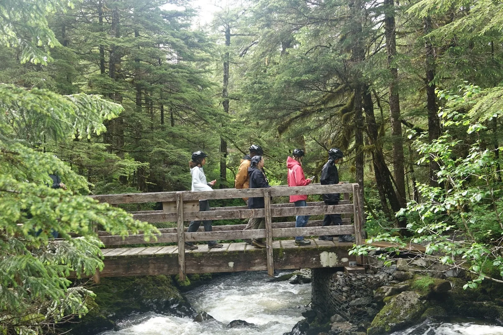 Alpine Alaska Road Trip