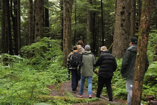 Explore Alaska Rainforest
