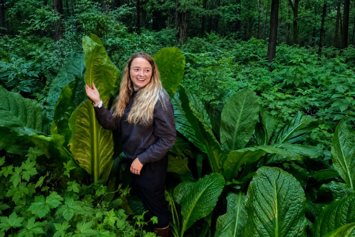 The Quiet Side of Juneau: Why E-Bike Tours Beat the Van 1 1200x800 Juneau alpine segway deep rainforest thick brush tour