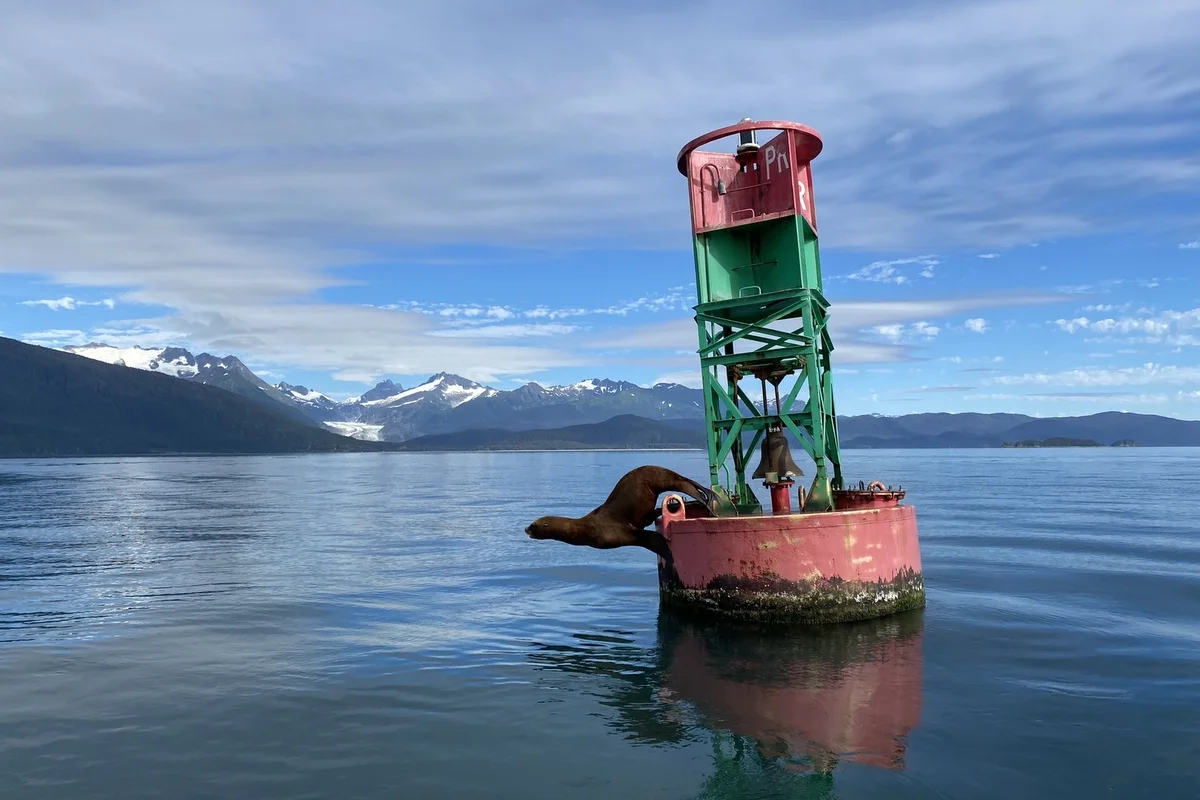 Walking from Cruise Ship in Juneau: Distances & Port Tips